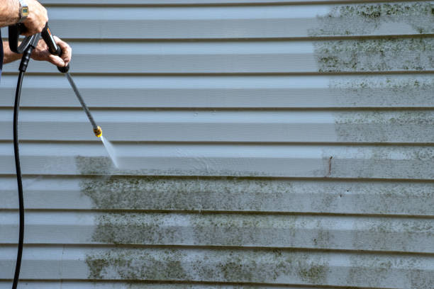 Storm Damage Siding Repair in Homer, MI