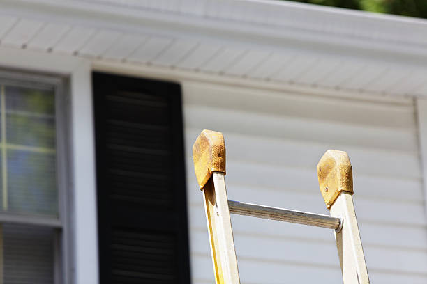 Best Siding Painting and Refinishing  in Homer, MI