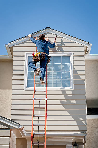 Best Residential Vinyl Siding Installation  in Homer, MI