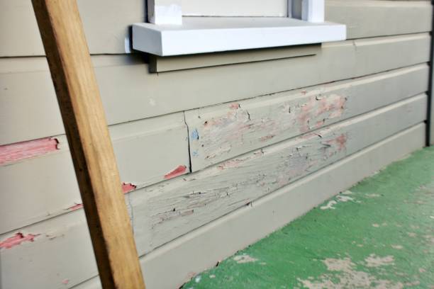 Affordable siding repair and maintenance services in Homer, MI